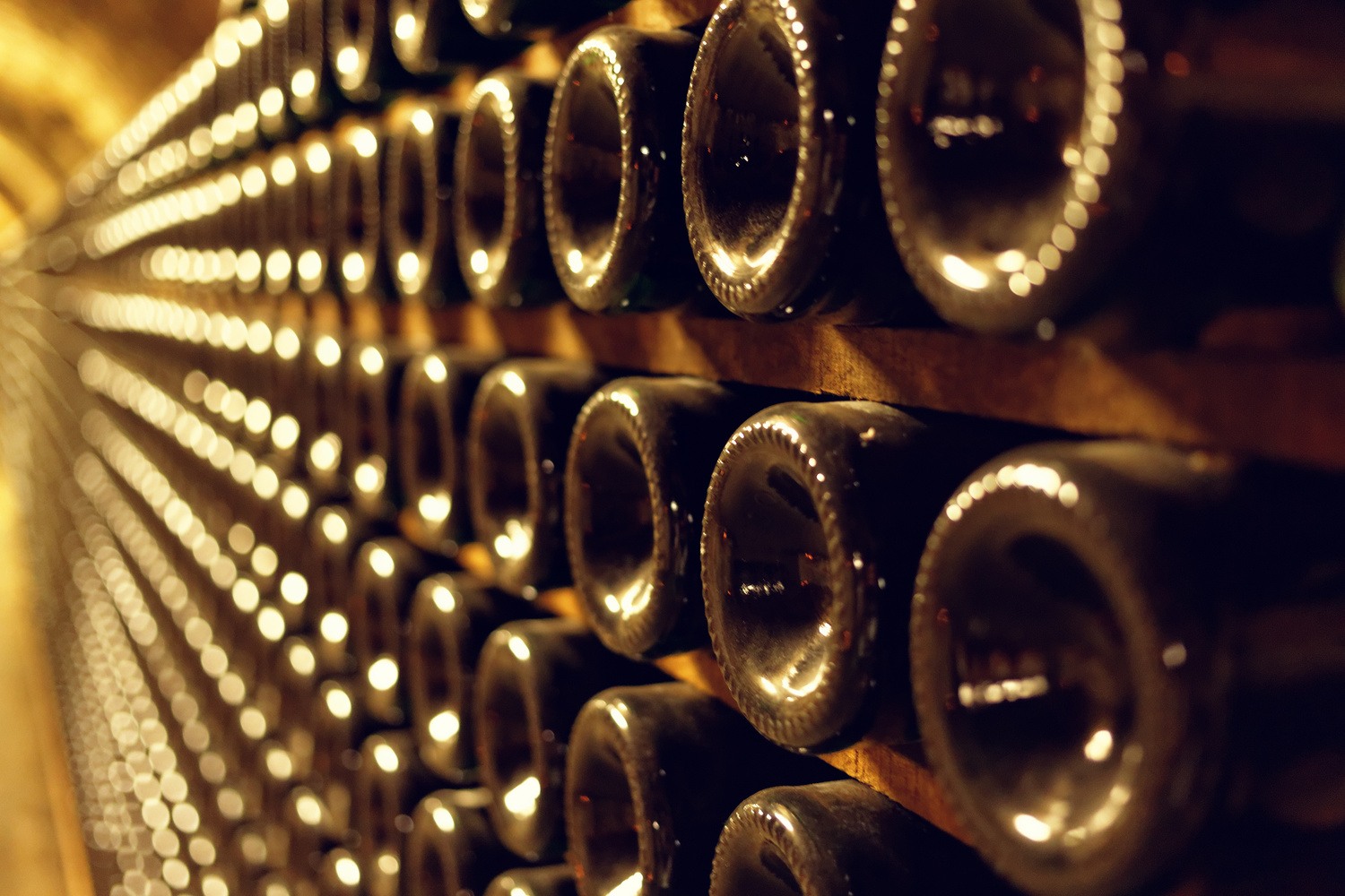 champagne cellar with hundreds of bottles